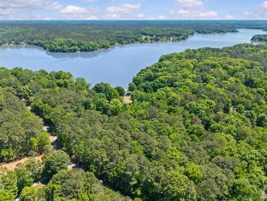 Choose your ideal homesite on this beautiful, wooded lot - photo 6