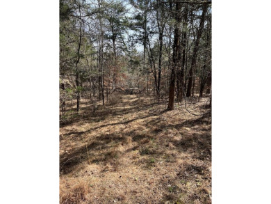 Lake Lot For Sale in Alton, Virginia