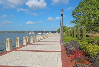 Move-in ready in highly desirable Pigeon Point! This charming - photo 36