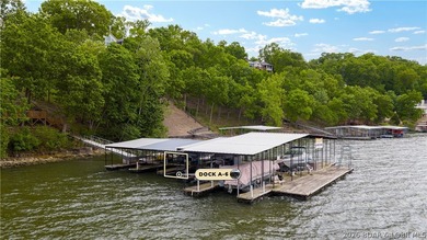 Experience lake living at its finest in this beautifully updated - photo 47
