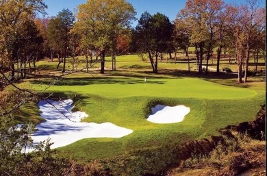 Castle Pines sits at the center of Rock Creek Resort, just steps - photo 10