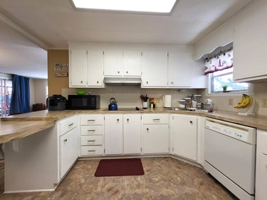 BRAND NEW HVAC SYSTEM 2026! Just listed in Camelot Lakes. Fully - photo 14