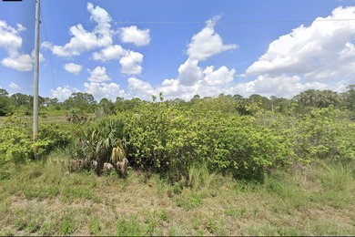 Lehigh Acres Area Lot For Sale in Lehigh Acres Florida