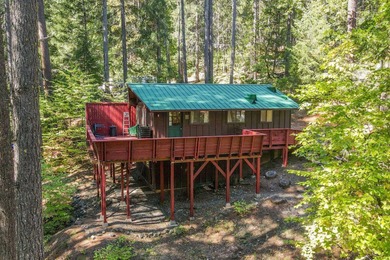 Trinity Lake / Clair Engle Lake Home For Sale in Trinity Center California