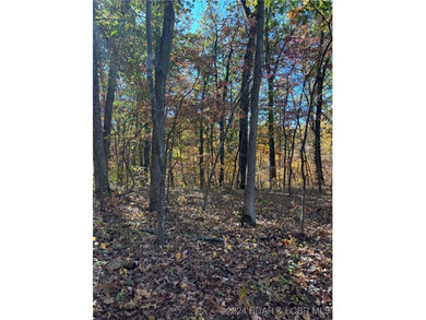 Nice wooded 10 acres, with no known restrictions. Access road is - photo 2