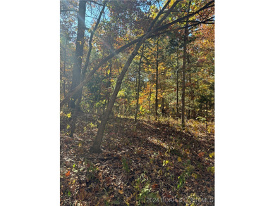 Nice wooded 10 acres, with no known restrictions. Access road is - photo 3