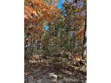 Nice wooded 10 acres, with no known restrictions. Access road is - photo 4