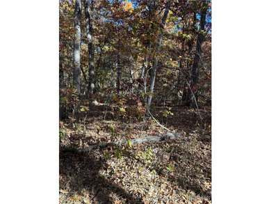Nice wooded 10 acres, with no known restrictions. Access road is - photo 5