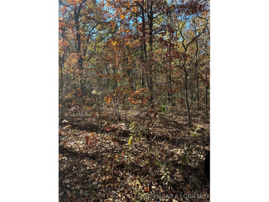 Nice wooded 10 acres, with no known restrictions. Access road is - photo 6
