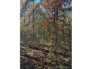 Nice wooded 10 acres, with no known restrictions. Access road is - photo 7