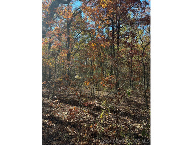Nice wooded 10 acres, with no known restrictions. Access road is - photo 8
