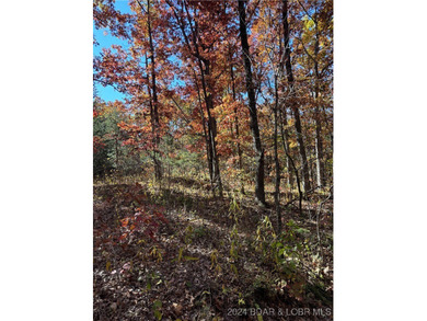 Nice wooded 10 acres, with no known restrictions. Access road is - photo 9