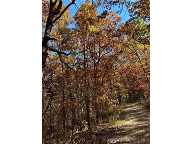Nice wooded 10 acres, with no known restrictions. Access road is - photo 10