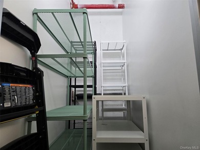 Experience luxury living in Downtown Flushing in this spacious - photo 11