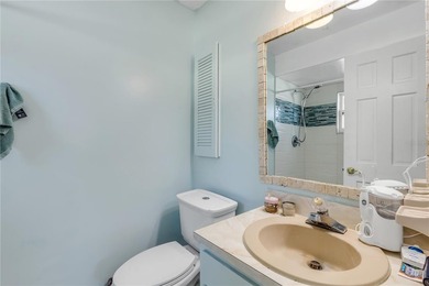 Virtually Staged. Choose Your Own Adventure at 26 Laughing Gull - photo 25