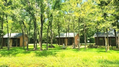 Rare investment opportunity! This property has five active cabin - photo 1
