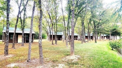 Rare investment opportunity! This property has five active cabin - photo 5