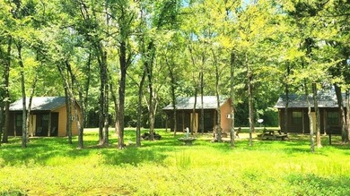 Rare investment opportunity! This property has five active cabin - photo 6