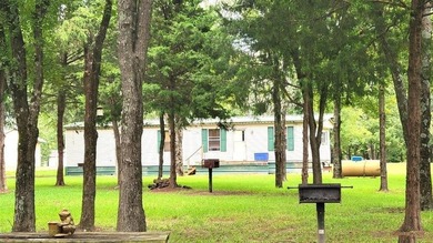 Rare investment opportunity! This property has five active cabin - photo 7