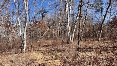 Lake Acreage Sale Pending in Nevis, Minnesota