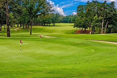 Price Improvement AND Motivated Seller! Beautiful cleared lot in - photo 3