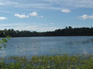 Pixley Flowage Acreage For Sale in Fifield Wisconsin