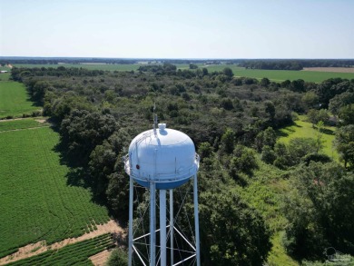 Lake Acreage For Sale in Frisco City, Alabama