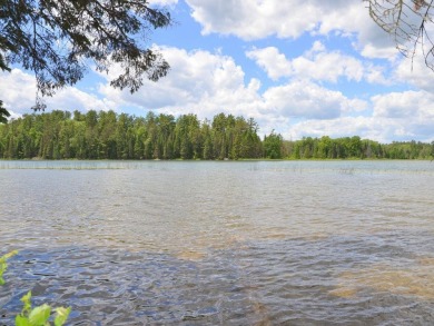 Mantrap Lake Acreage For Sale in Nevis Minnesota