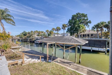 Enjoy true WATERFRONT living in this NEWLY REMODELED - photo 28
