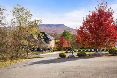 Homes with this splendor and location do not come available