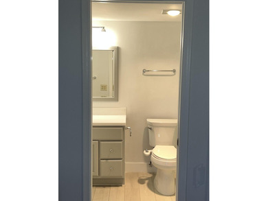 Beautiful Lake & Fountain View, 2 Bed / 2 Bath, Substantially - photo 35
