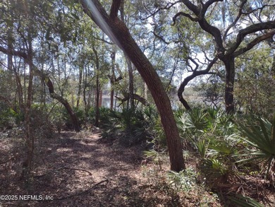 This beautiful waterfront lot with pines and palms winding down - photo 1
