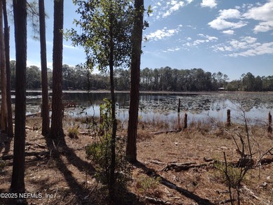 This beautiful waterfront lot with pines and palms winding down - photo 2