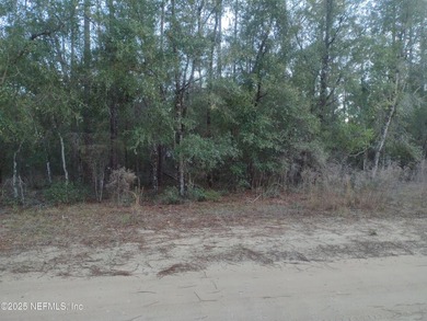 This beautiful waterfront lot with pines and palms winding down - photo 3