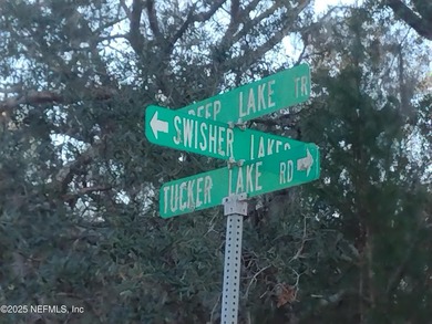 This beautiful waterfront lot with pines and palms winding down - photo 4