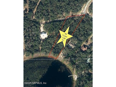 This beautiful waterfront lot with pines and palms winding down - photo 5