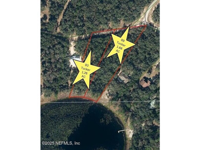 This beautiful waterfront lot with pines and palms winding down - photo 6