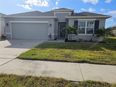 Lake Home For Sale in Land O Lakes, Florida