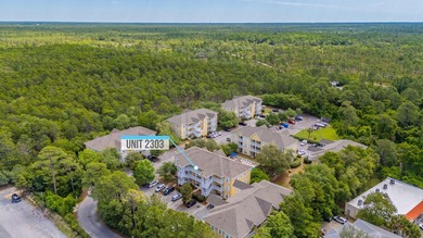 GOLF CART INCLUDED! Located just off scenic 30A in the - photo 36