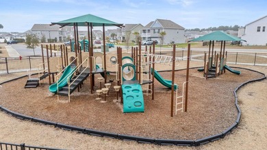 Welcome to your dream home in The Parks at Carolina Forest! This - photo 44