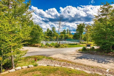 Discover the epitome of Adirondack luxury at The Lodges, the - photo 49