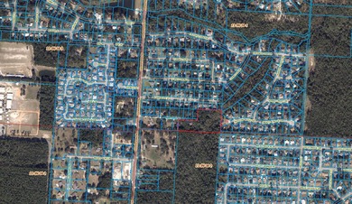 Exciting opportunity to own nearly 4.5 acres of beautiful wooded - photo 3