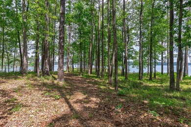 POINT LOT WITH SWEEPING LAKE VIEWS-AN EXCEPTIONAL LAKEFRONT - photo 7
