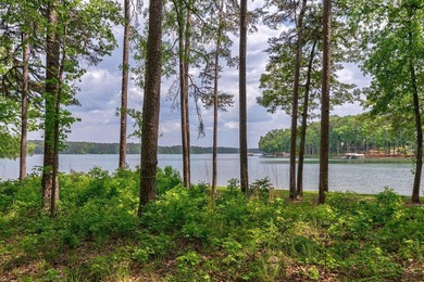 POINT LOT WITH SWEEPING LAKE VIEWS-AN EXCEPTIONAL LAKEFRONT - photo 8