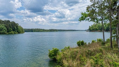 POINT LOT WITH SWEEPING LAKE VIEWS-AN EXCEPTIONAL LAKEFRONT - photo 10