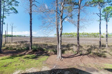 Located within the Sandestin Golf & Beach Resort(R), this - photo 25