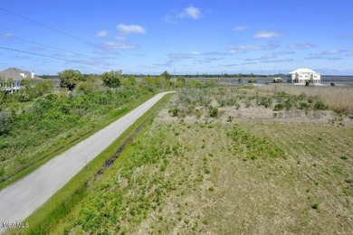 Come see this beautiful waterfront property waiting for you! - photo 5