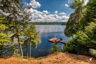 Kiwassa Lake Lodge sits above the shoreline in a way that - photo 54