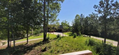 Lake Lot For Sale in Toccoa, Georgia