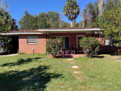 Lake Home For Sale in Micanopy, Florida